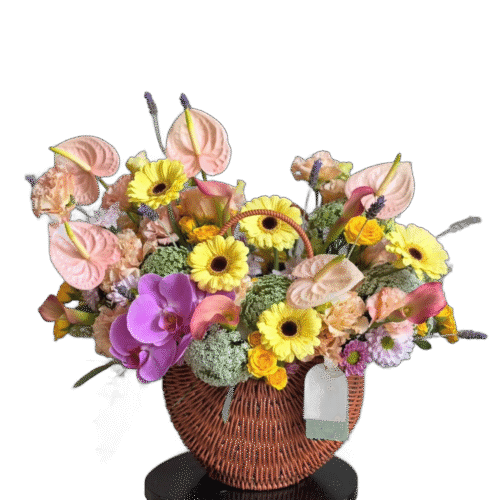 Canasta circular