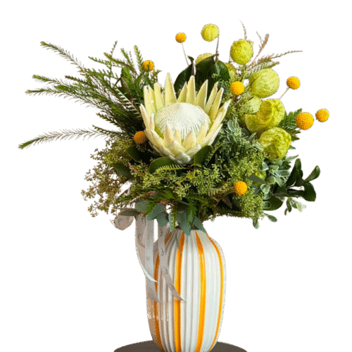 PROTEA KING