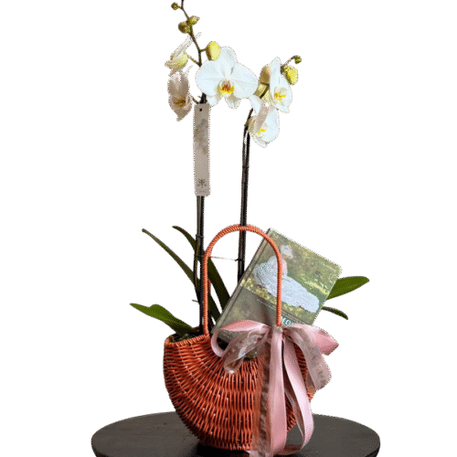 Canasta de Orquídea